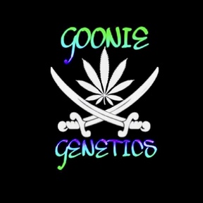 Goonie Genetics