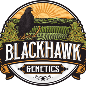 BlackHawk