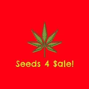 Seeds 4 $ale! - ACCOUNT DISABLED