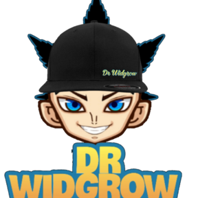 Dr Widgrow