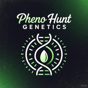Pheno Hunt Genetics