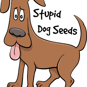 Stupid Dog Seeds