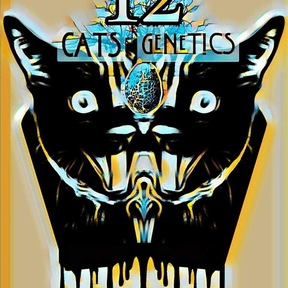 12 Cats Genetics