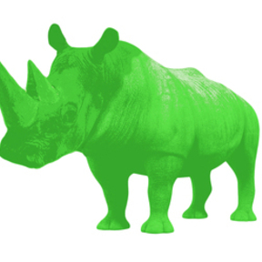 Green Rhino Nursery